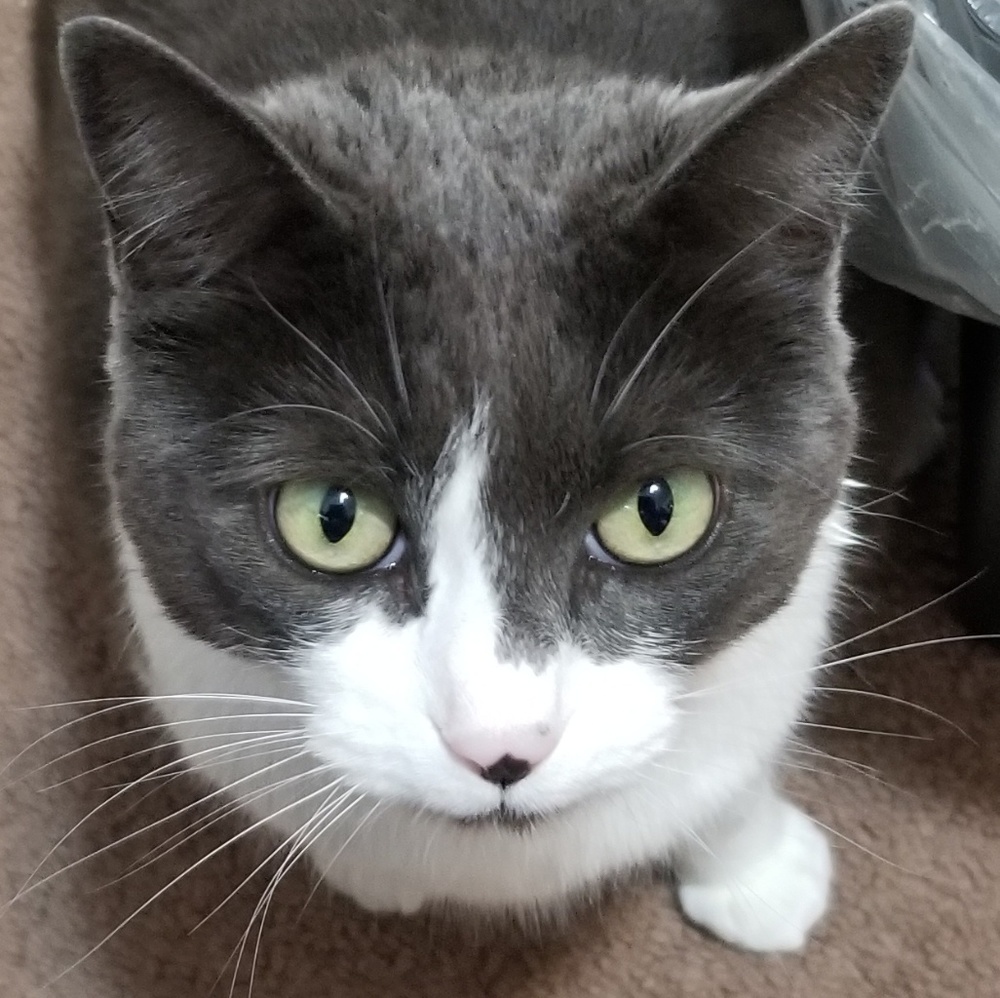 Meet your Posher, John